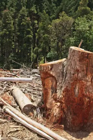 Relatório revela que se gasta mais dinheiro contra a natureza do que a protegê-la